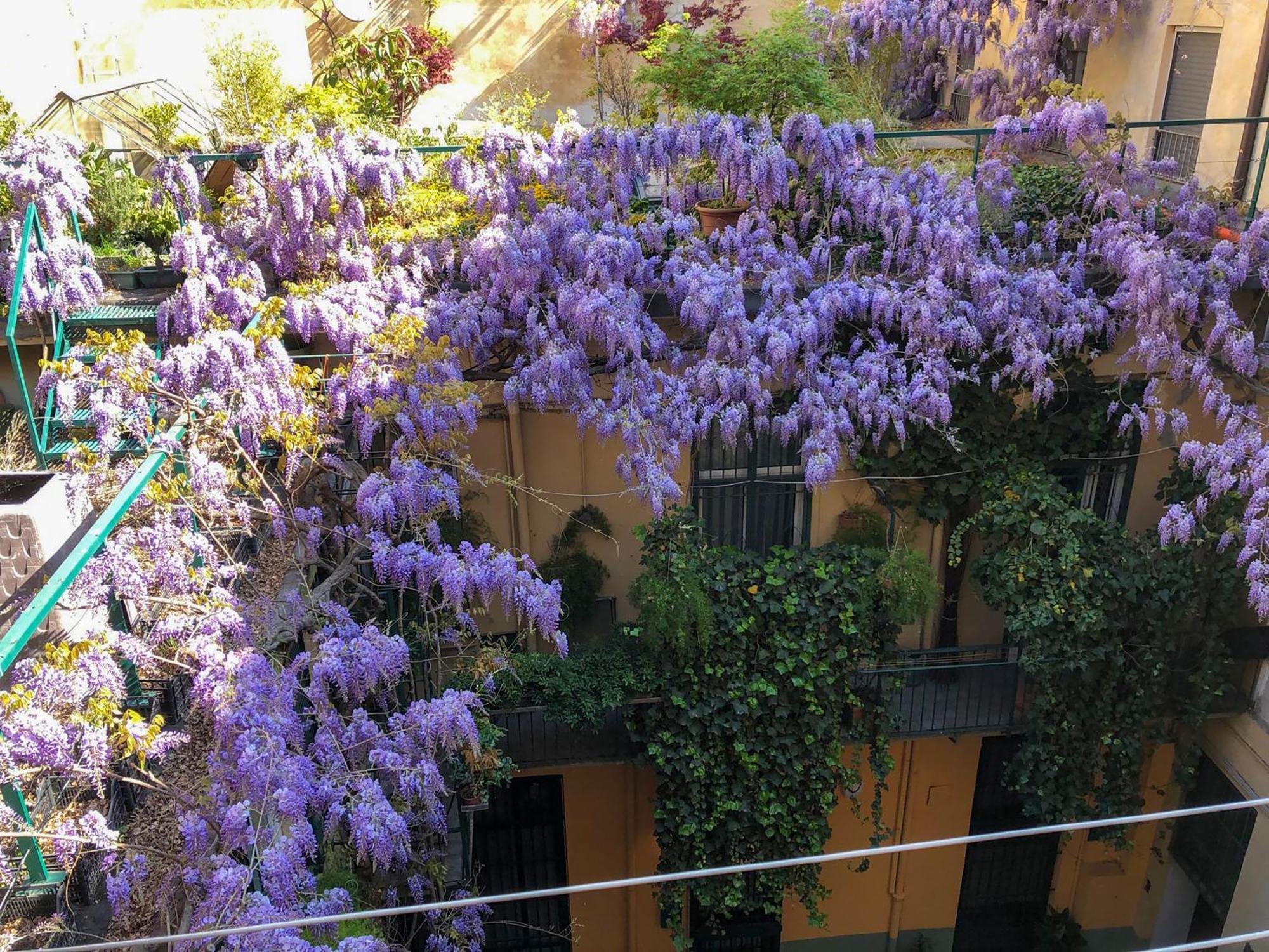 La Casa Degli Angeli Turim Exterior foto